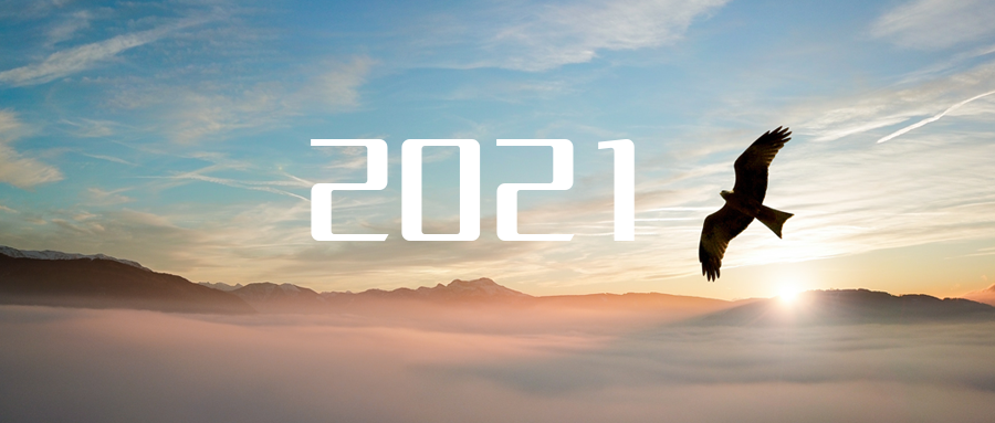 乘“峰”而上，智“盈”未来 ——2021年腾博会环境高级资深副总裁新年开工动员